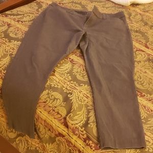 Old Navy Pixie Ankle Pant